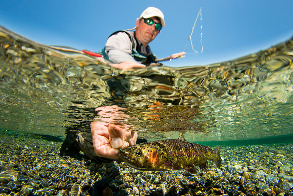 Catch and release trout. Photo by Eiko Jones.