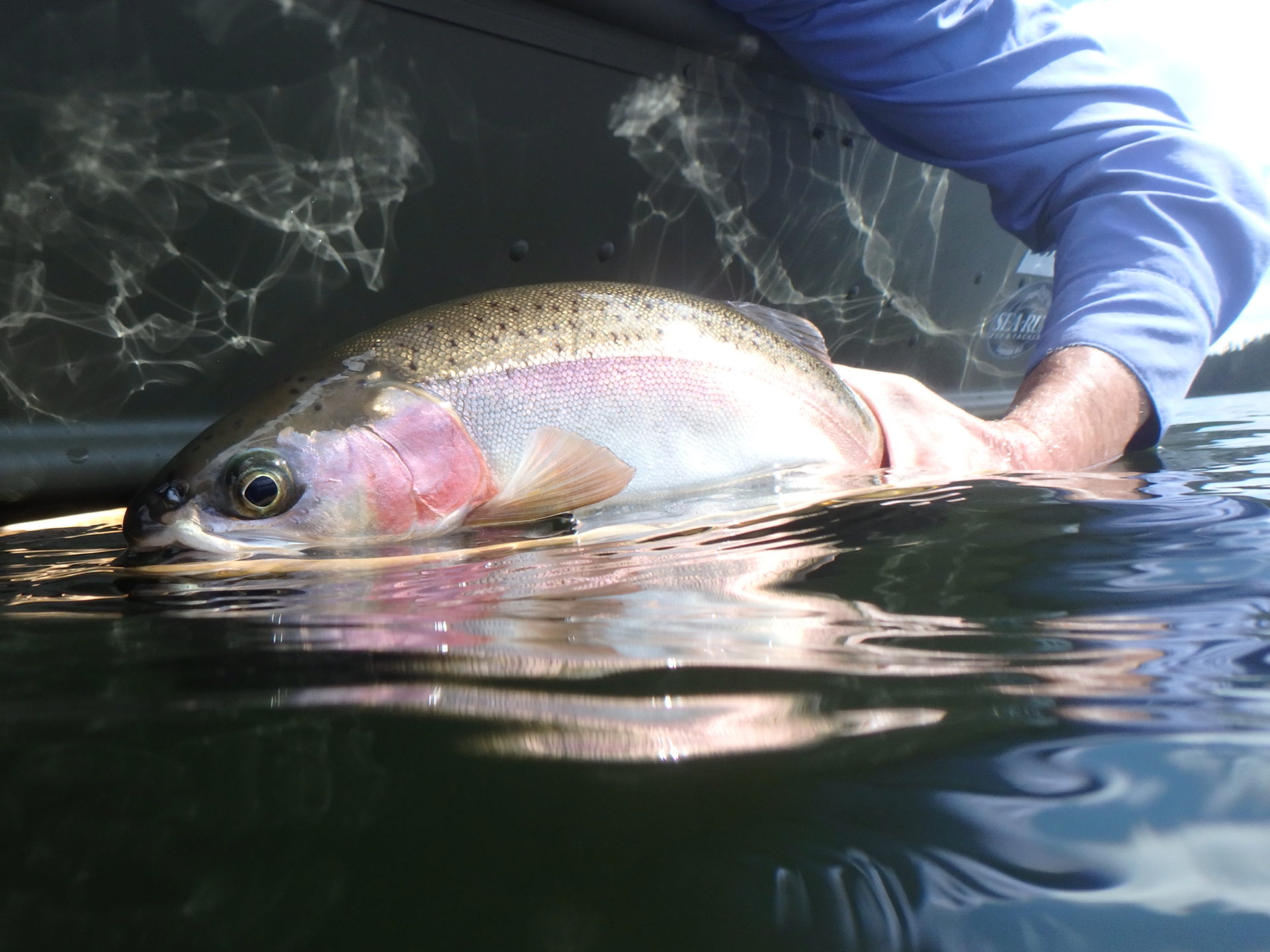 BC’s interior lakes are a fisherman’s haven. Do your best to make the most of a day on the water.