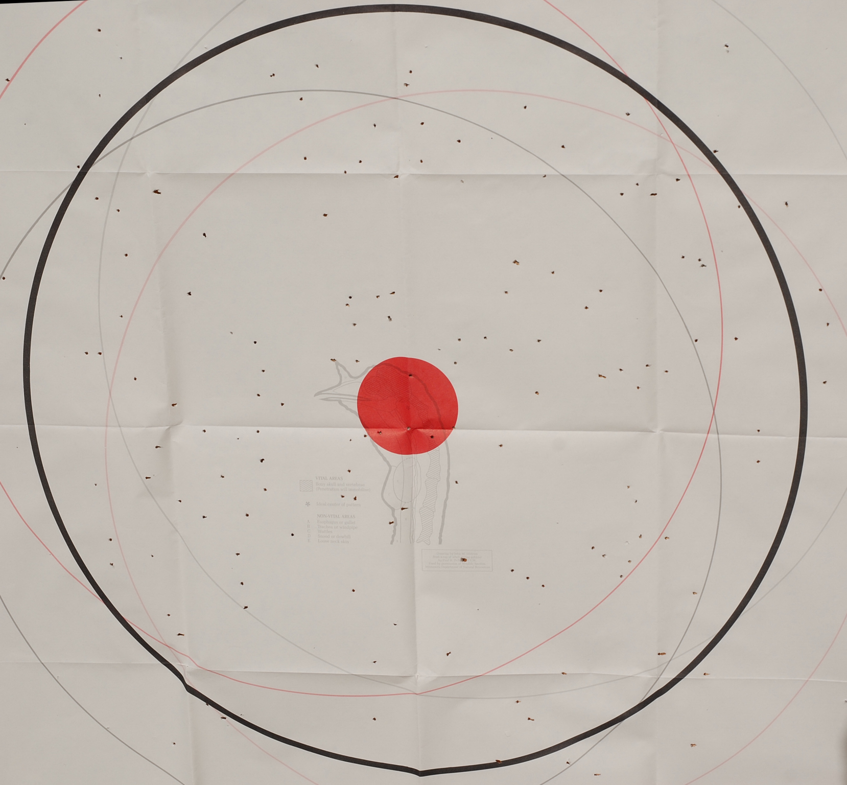 At 40 yards the A400, with stock chokes, provided tight and uniform shot distribution.