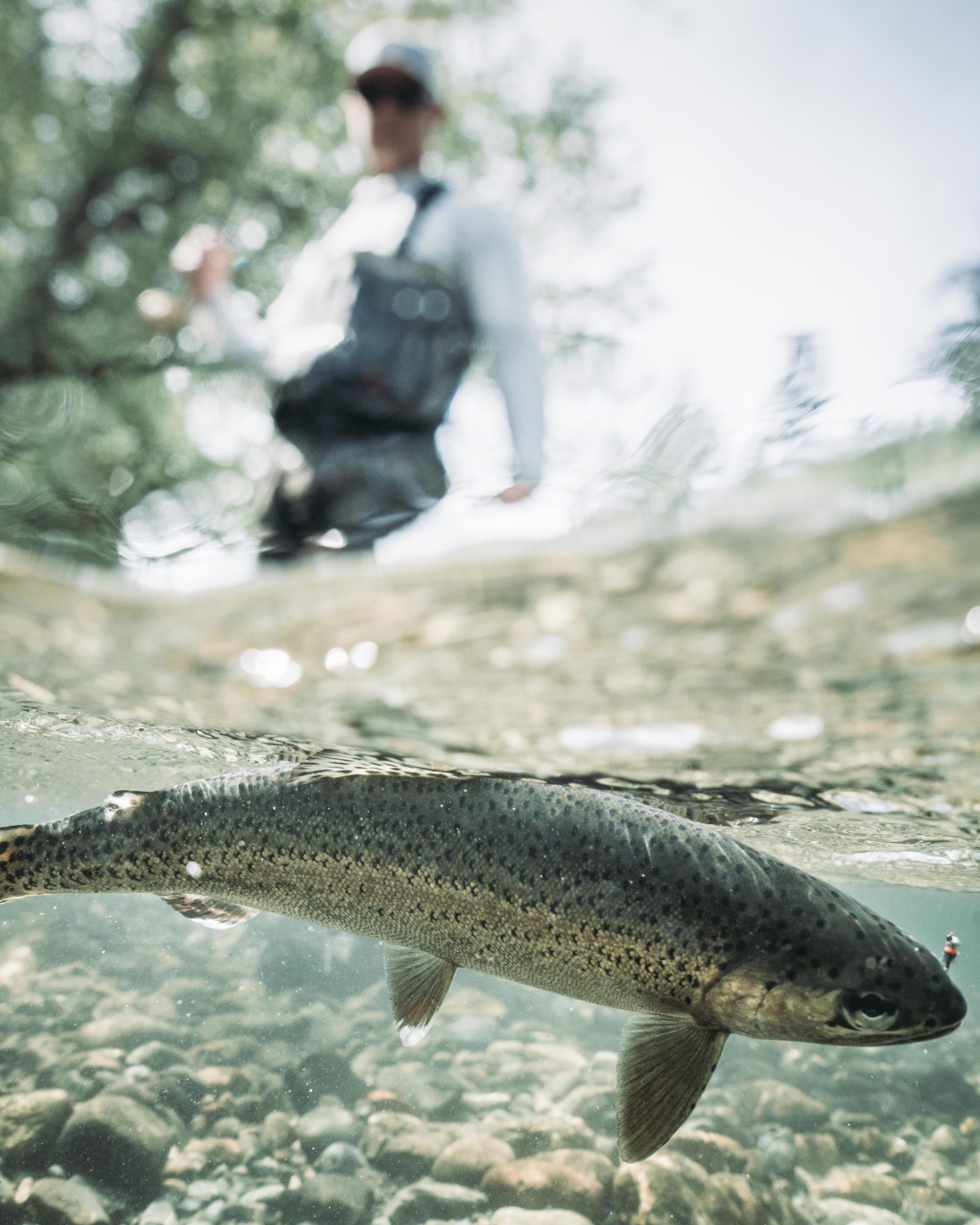 Trout fishing. Photo by Chase White.