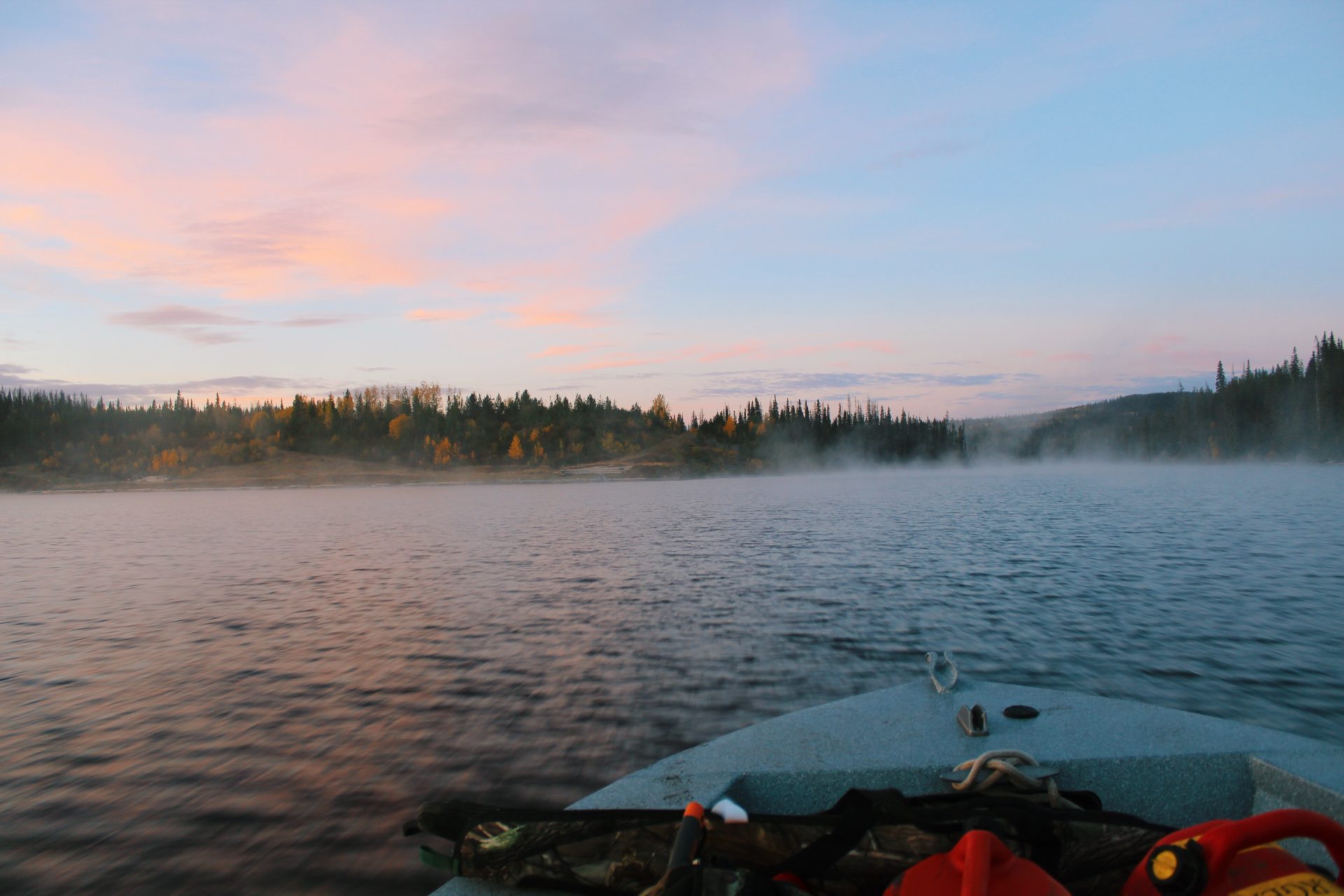 Scouting. Credit: Raeanne O’Meara.