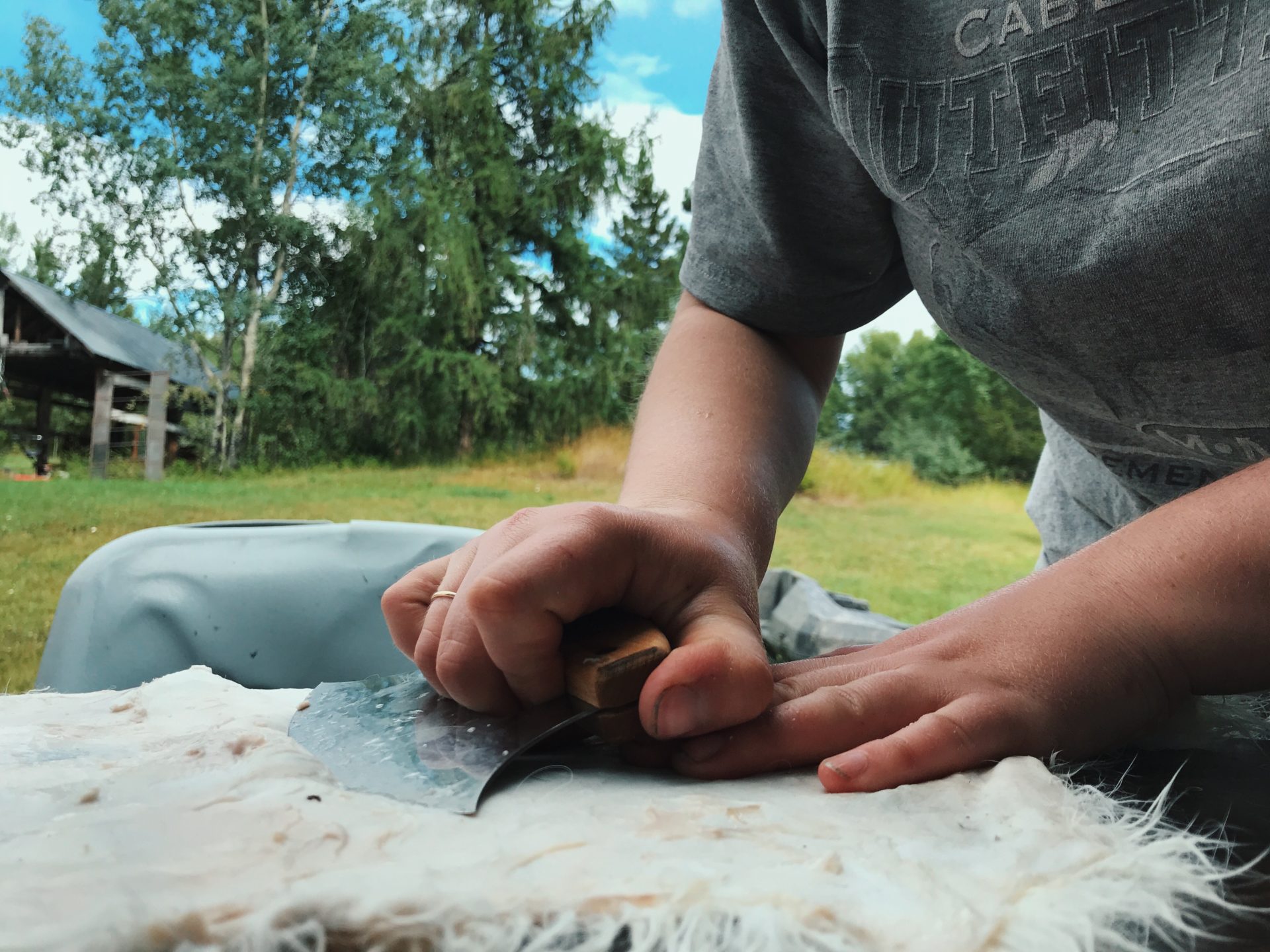 Using the whole animal. Photo by Raeanne O’Meara.