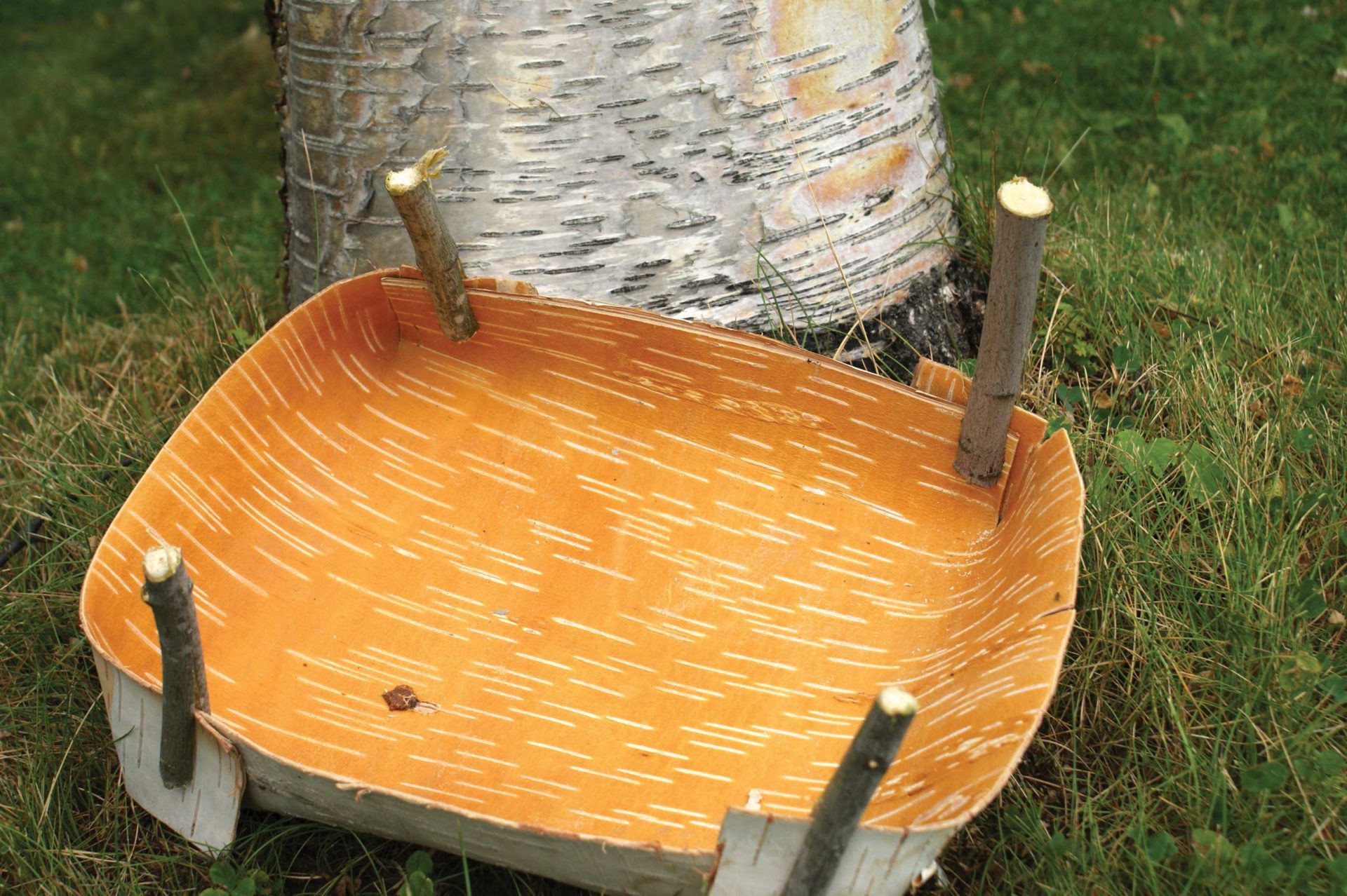 How To Make A Birch Bark Cooking Vessel 