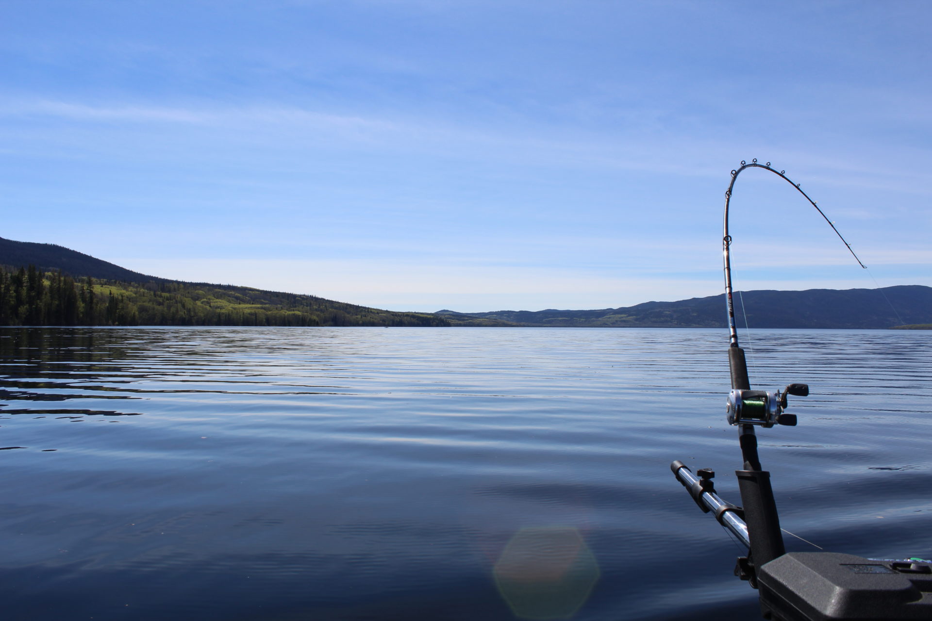 François Lake is a favourite fishing destination in the author’s family, so be sure to add it to your must-fish list.