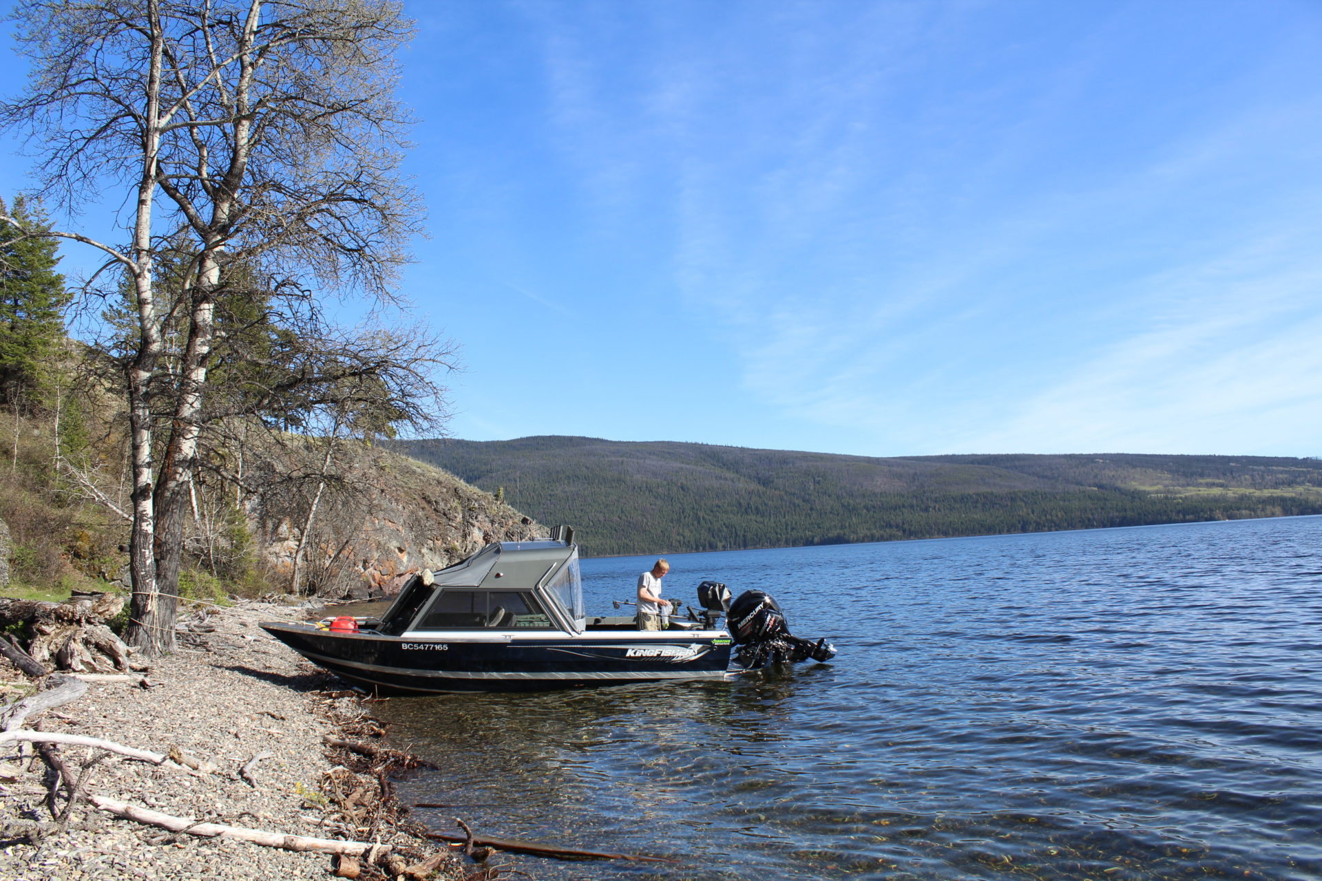  At 110 kilometres long, François Lake is the second longest, naturally occurring lake entirely within British Columbia.