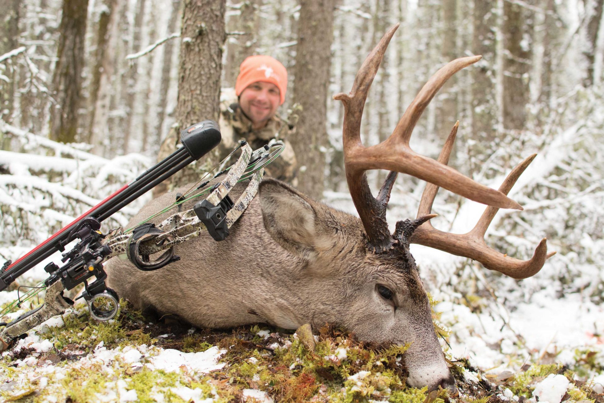 A properly set-up decoy brought this buck within shooting range.