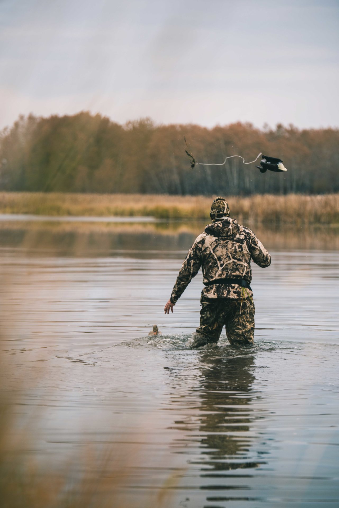 Although not essential, decoys are a great tool for tricking waterfowl into landing exactly where you want them. Photo by Curtis Hall.