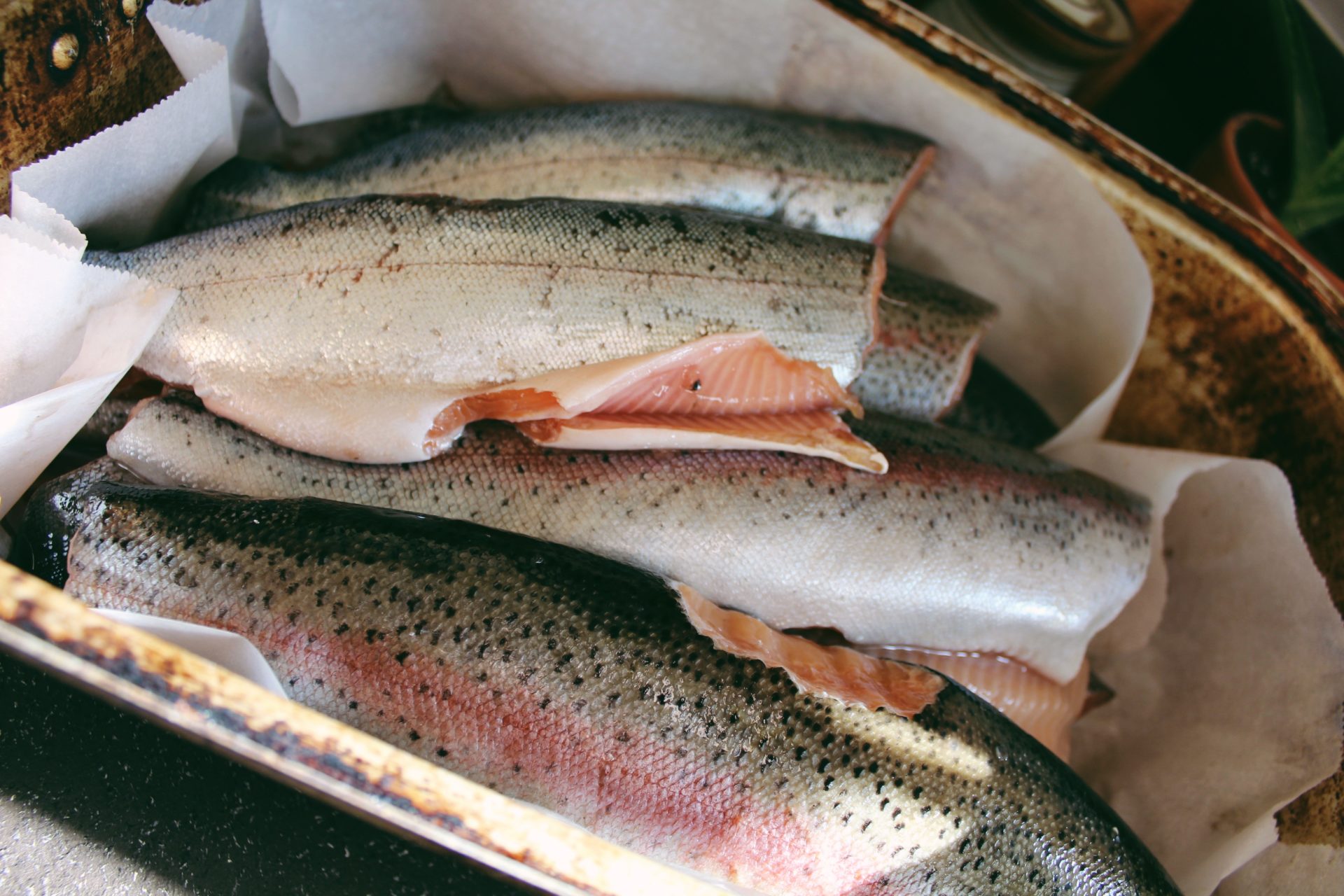 How To Pressure Can Fish BC Outdoors Magazine How To Pressure Can Fish BC Outdoors Magazine