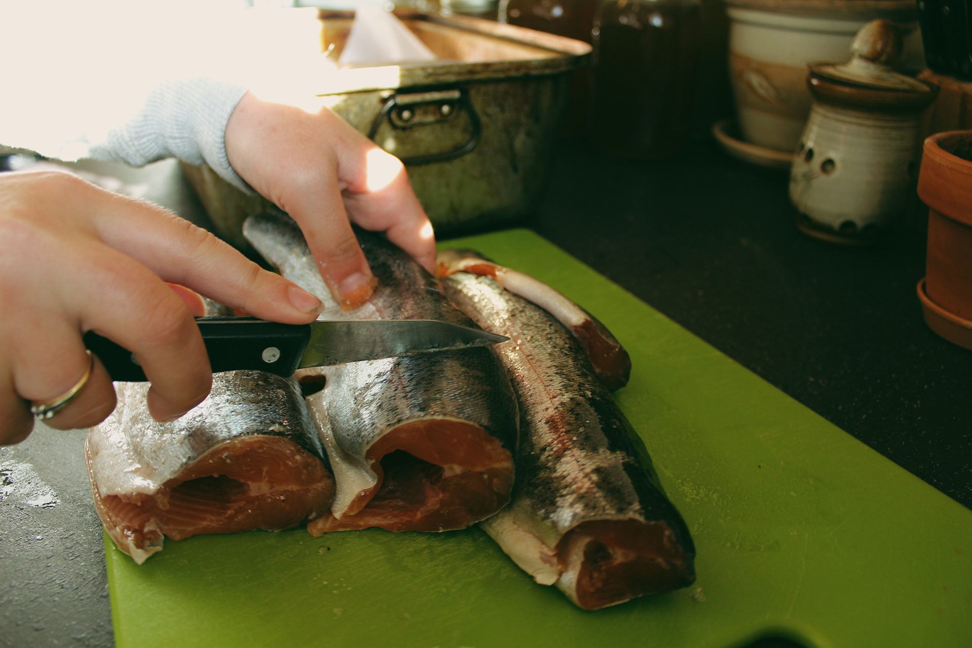 How To Pressure Can Fish BC Outdoors Magazine