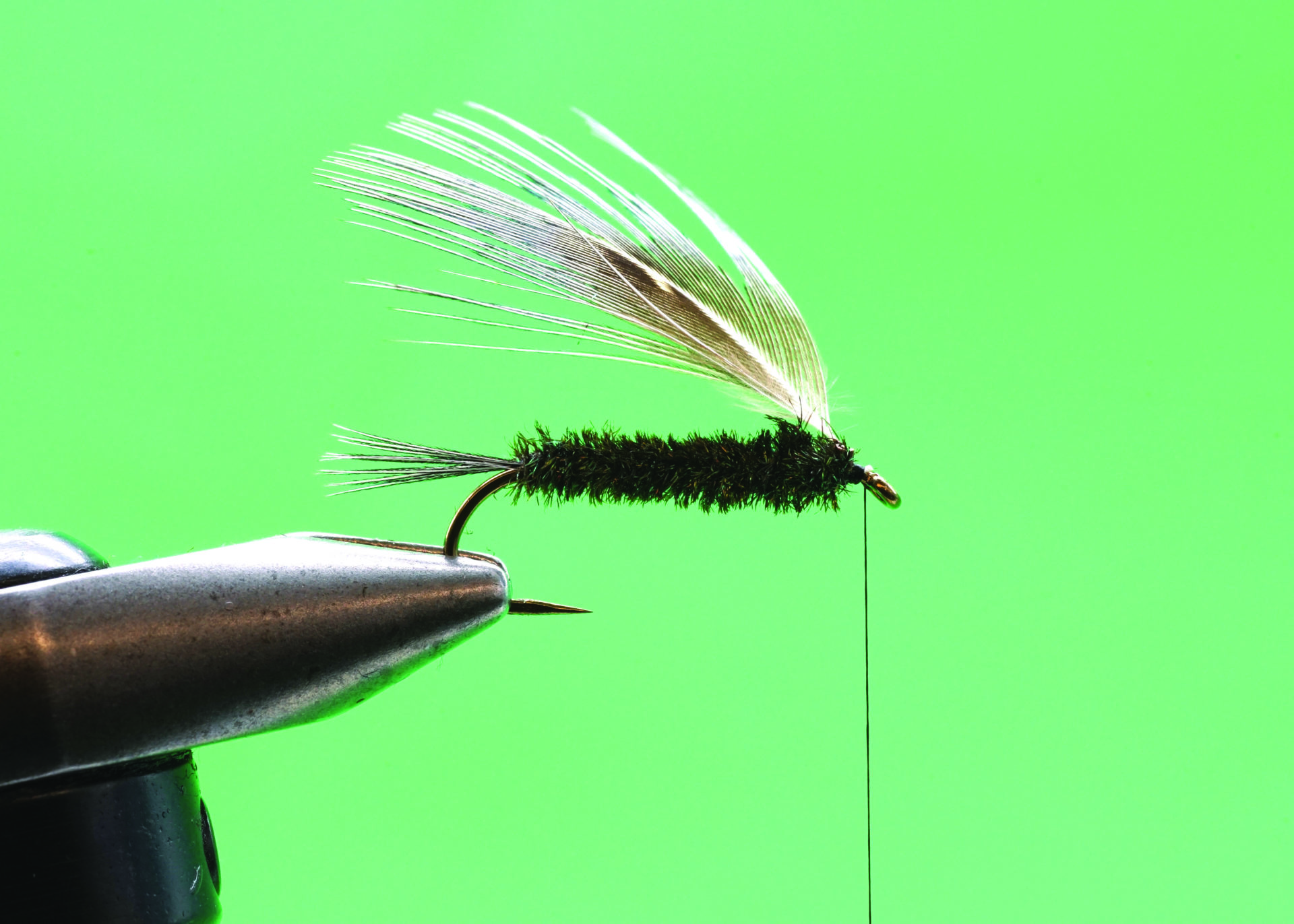 Peacock Carey: Step 5.