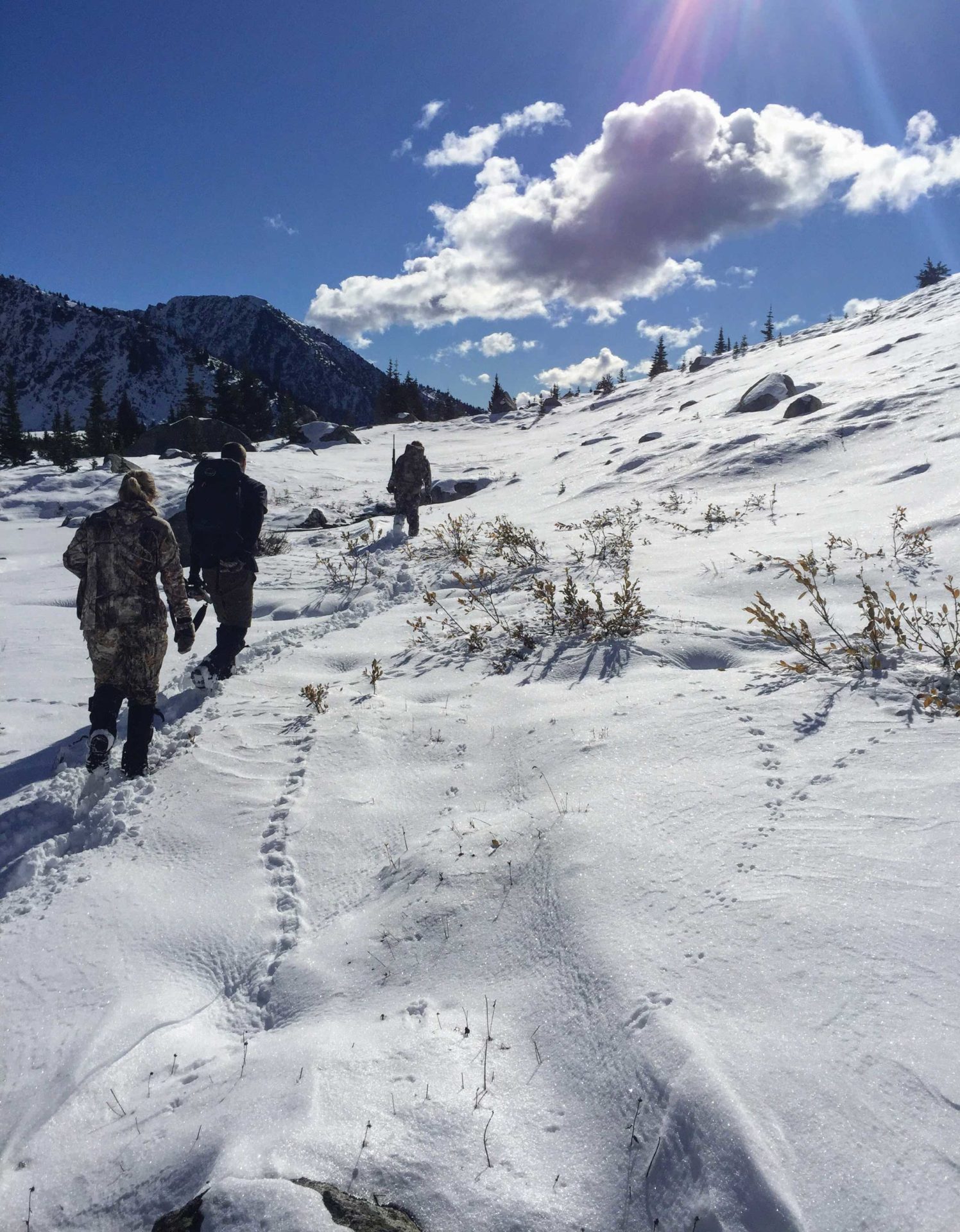 Alpine Critter Trails