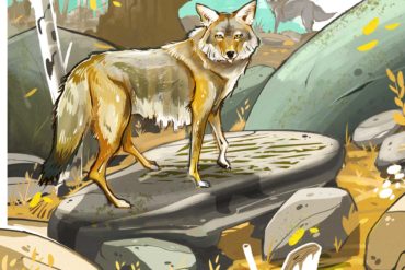 Coyotes. Illustration by Cory Proulx.