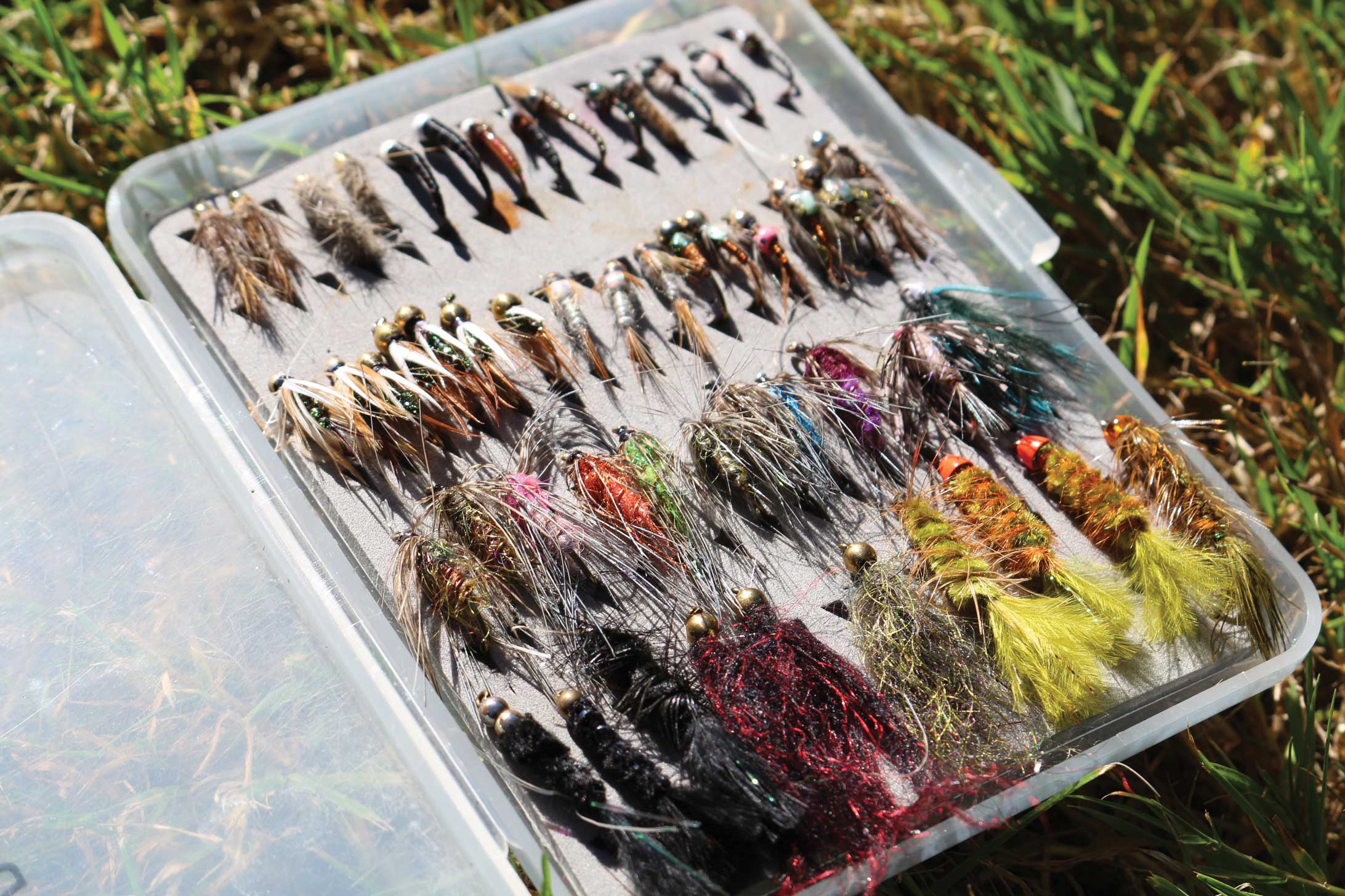 A small selection of essential flies should do the trick.