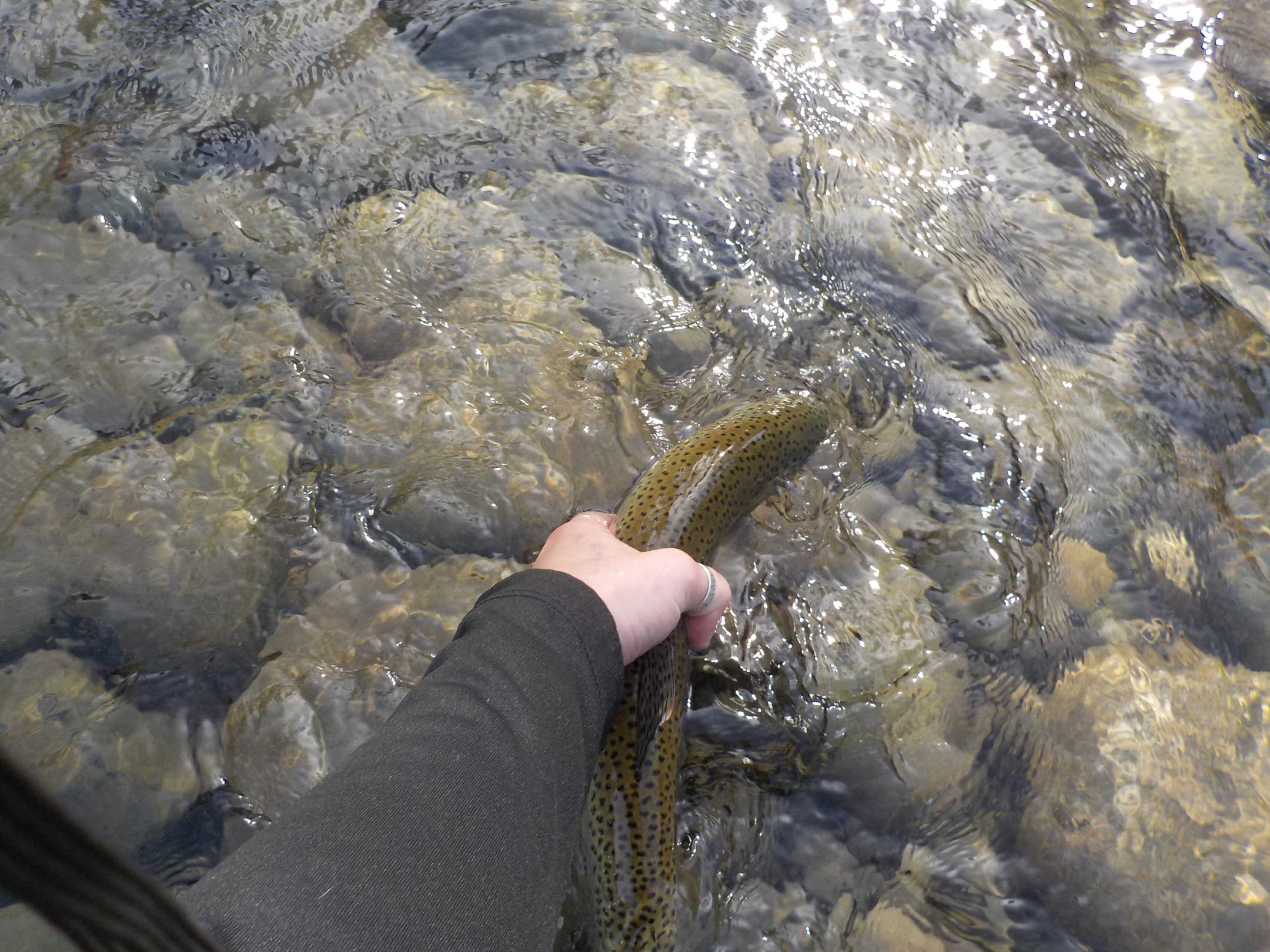 Getting away from angler-packed waters is a rewarding experience.