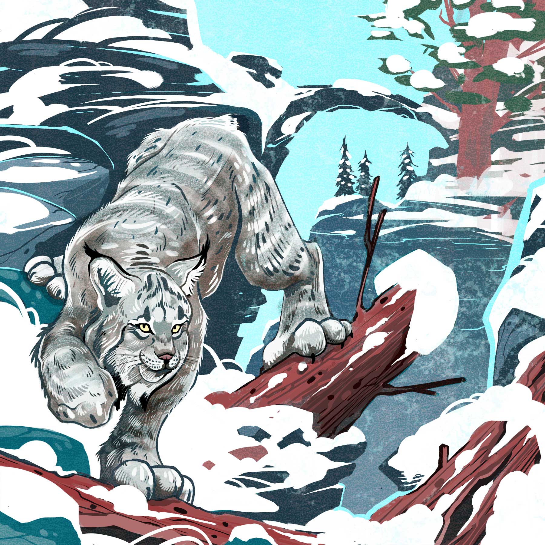 Lynx by Cory Proulx.