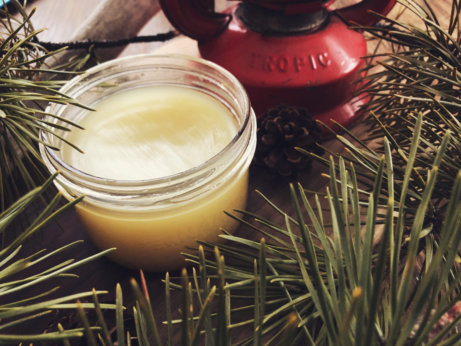 DIY Pine Resin Salve. Photo by Raeanne O’Meara.