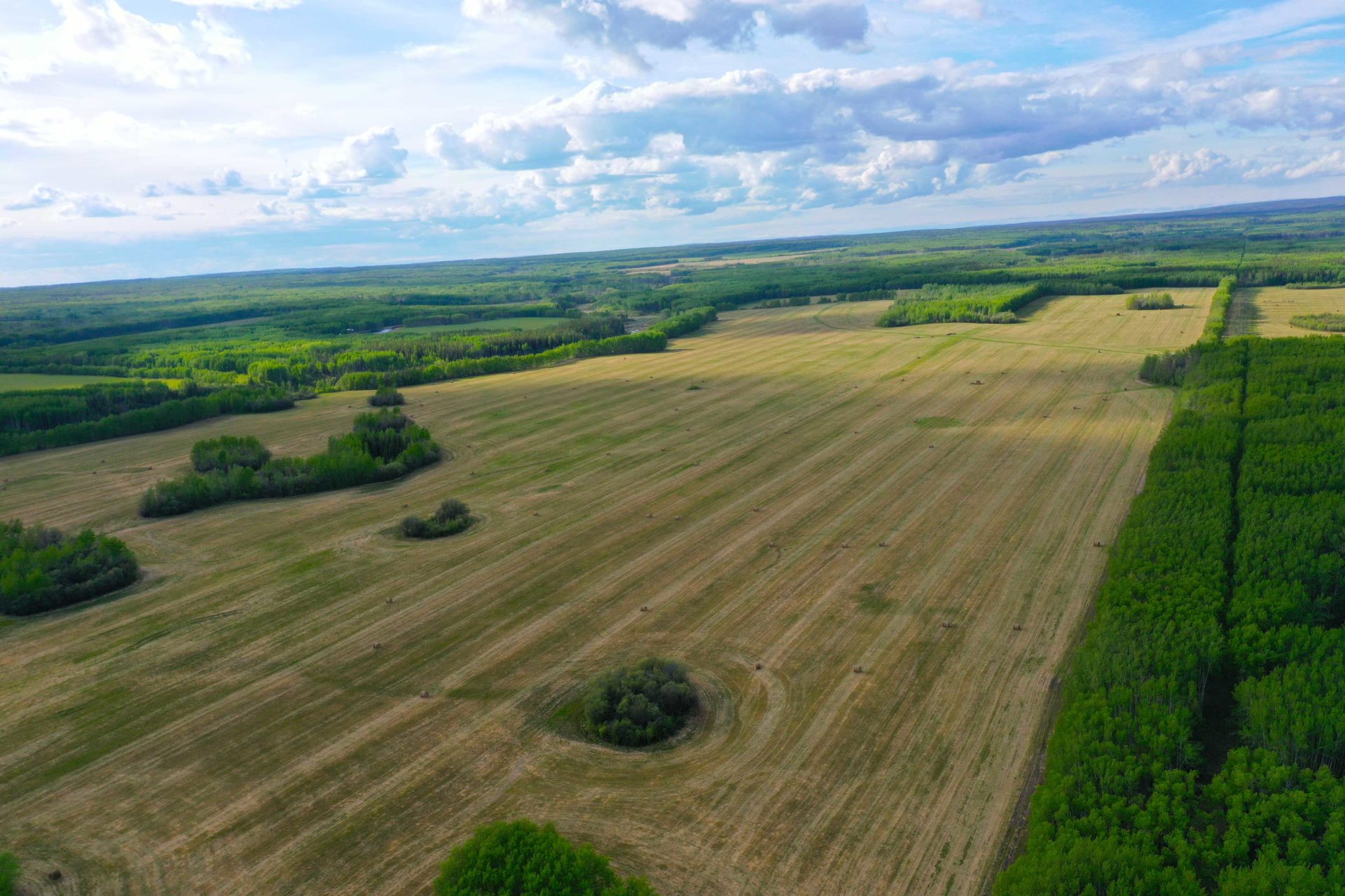 The dream of owning your own private hunting property is a desire shared by many in the hunting community, and in British Columbia it is still very attainable.