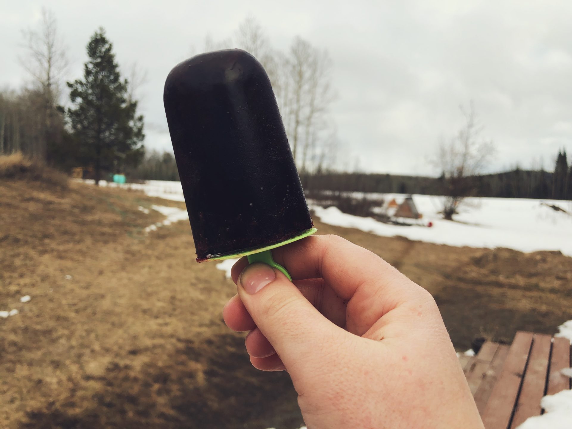 Wild Berry Popsicles