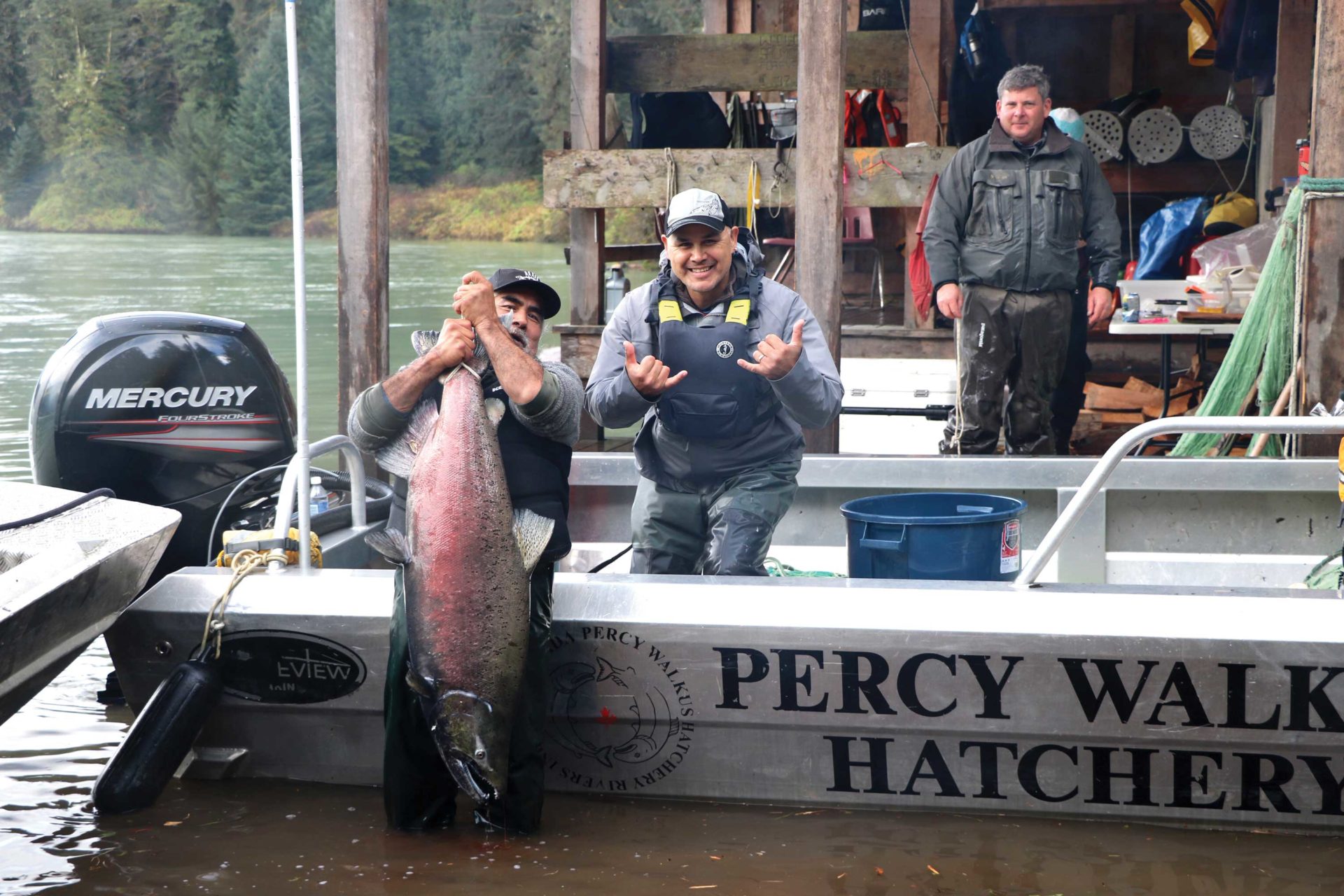 The Percy Walkus Hatchery is working on the Wannock and Kitsumkalum rivers, Kilbella and Chuckwalla rivers and Johnston Creek.