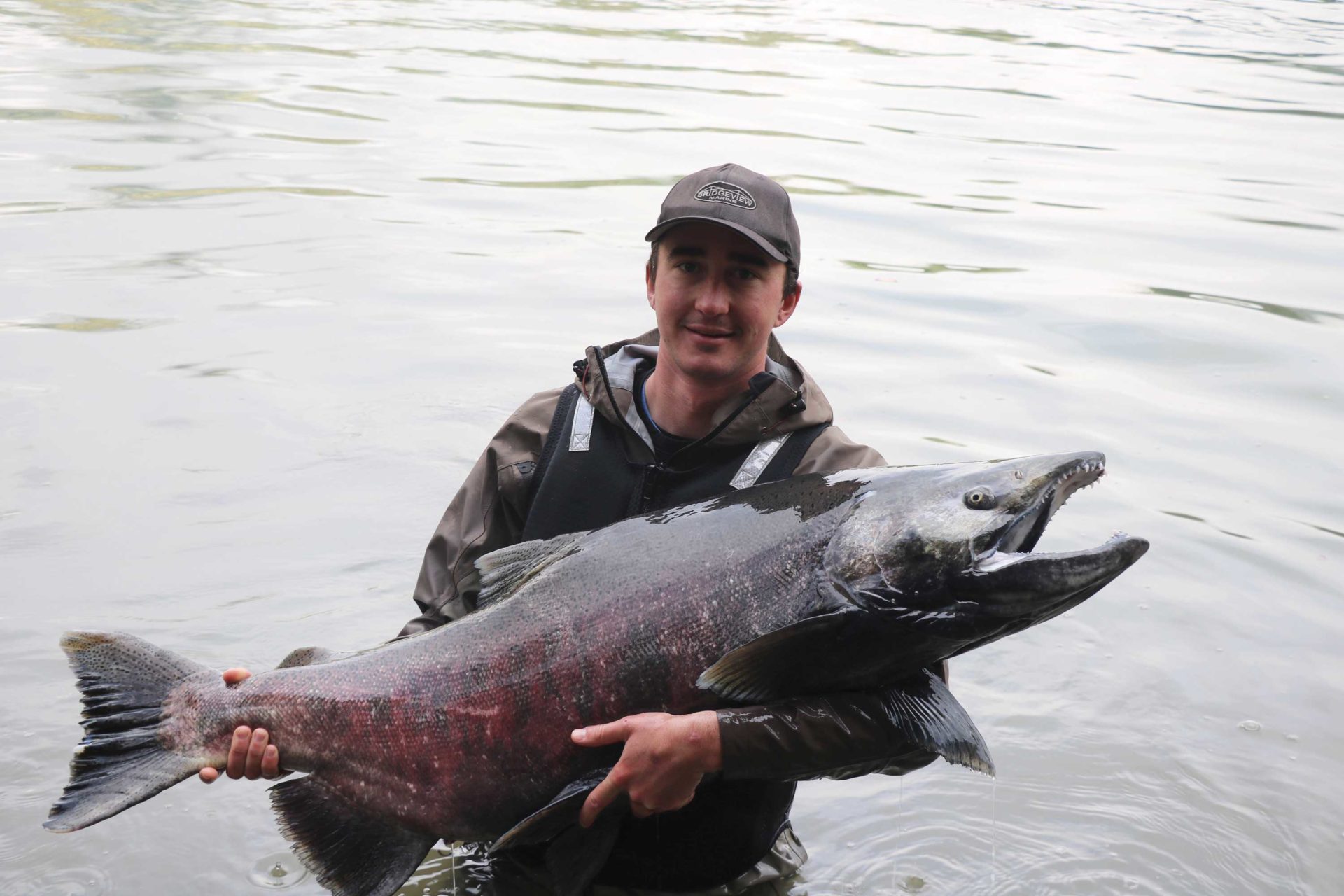 This Percy Walkus Hatchery program is why there are big salmon on the coast.