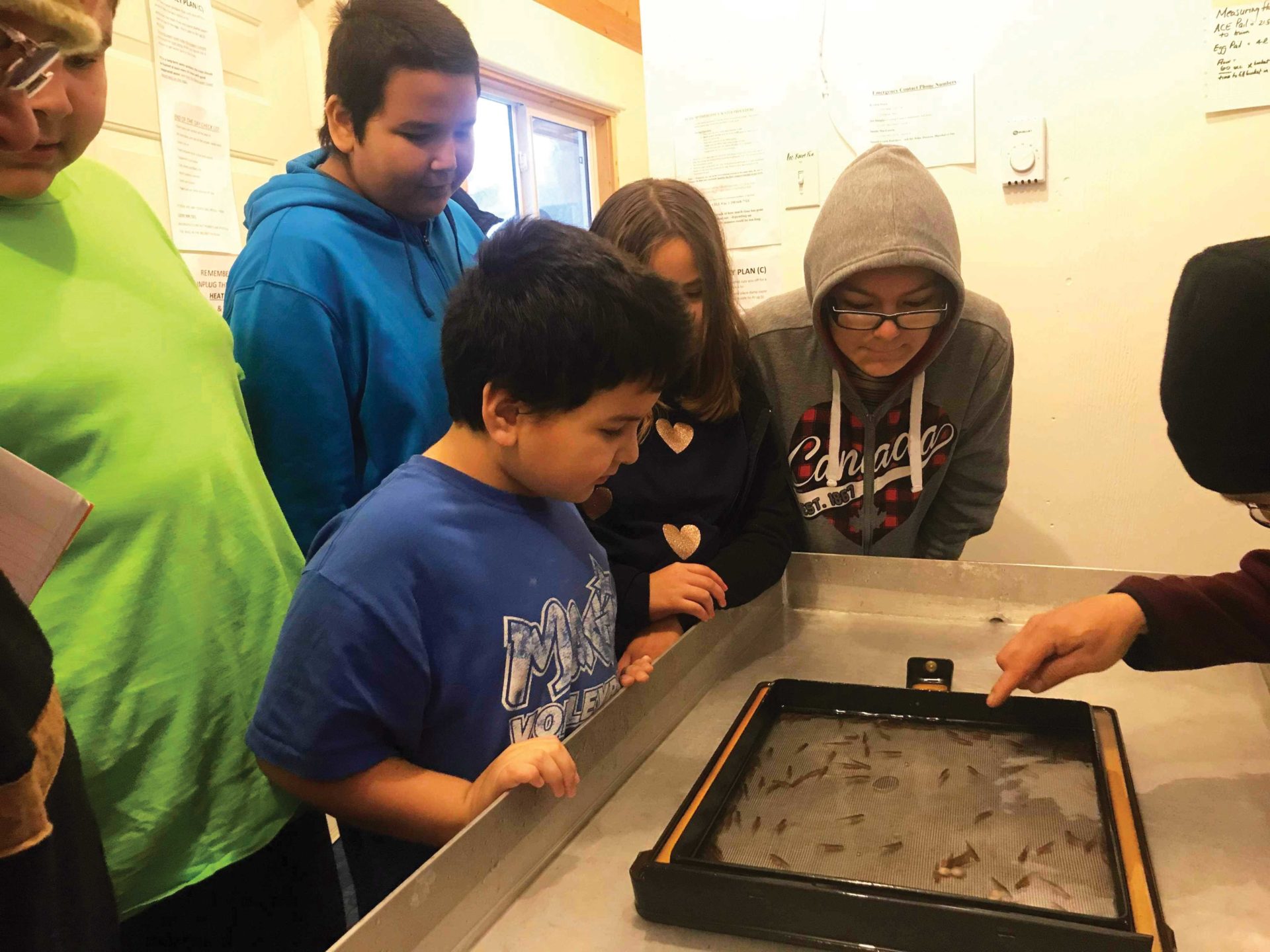 Involving local youth is vital to the future of the hatchery.