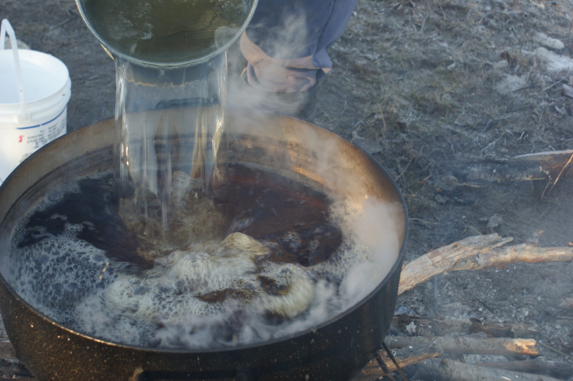 As the sap is collected in pails, it is dumped into the boiling down pot and boiled hard to evaporate the water off and leave the sweet syrup behind.