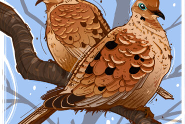 Doves. Illustration by Cory Proulx.