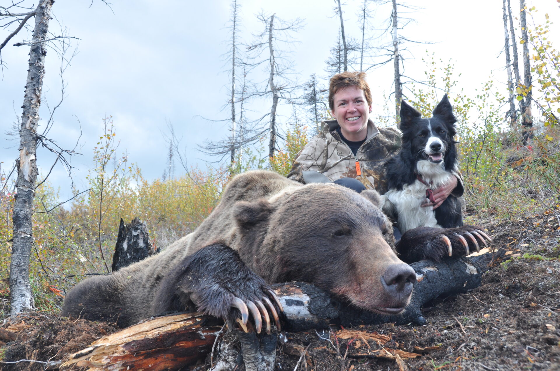 Jet, at 16 months old, accompanied us on a grizzly hunt.