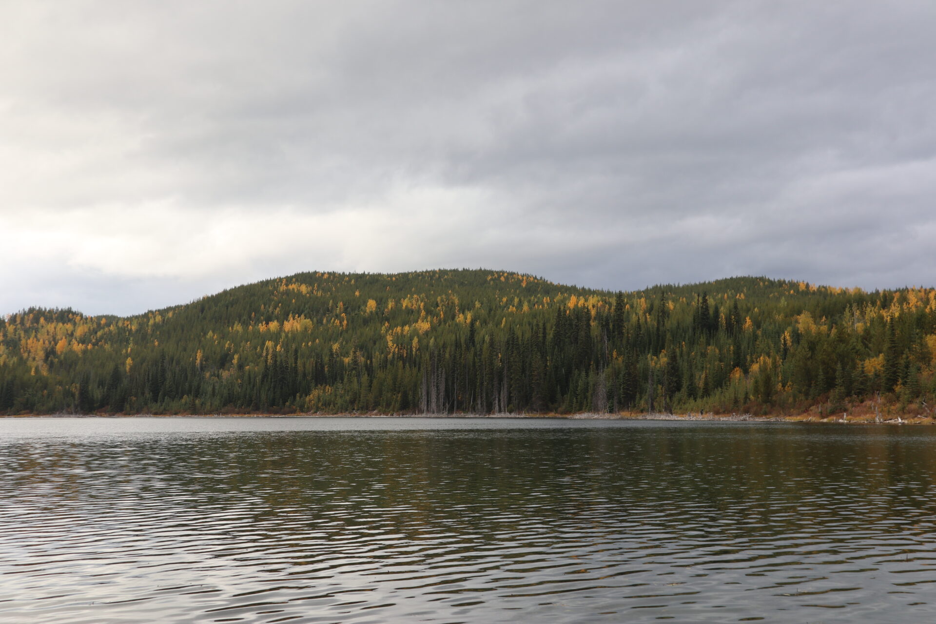 It was an adventurous drive up to Susan Lake, but the views were worth it. We’ll be back!