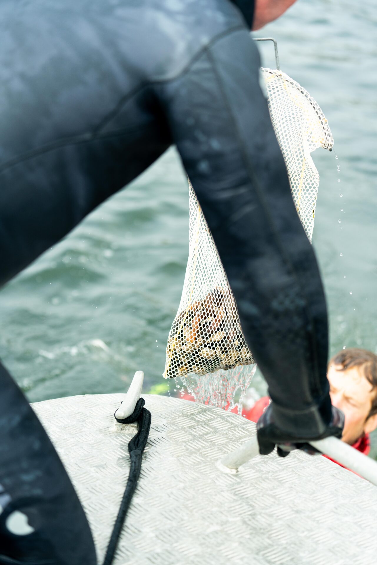 Gooseneck barnacles are delicious finger fodder and part of the crab/lobster family. Photo by Chase White.