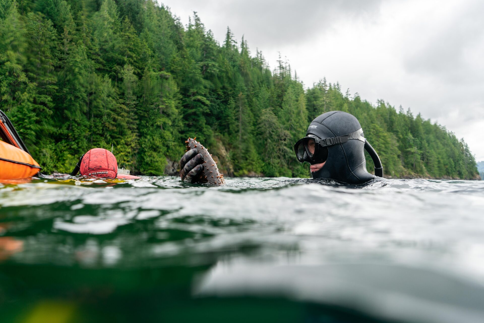 From Tide to Table. Photo by Chase White.