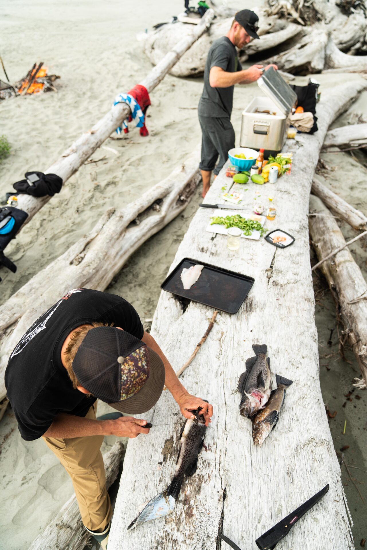 This is the epitome of fresh seafood. Photo by Chase White.