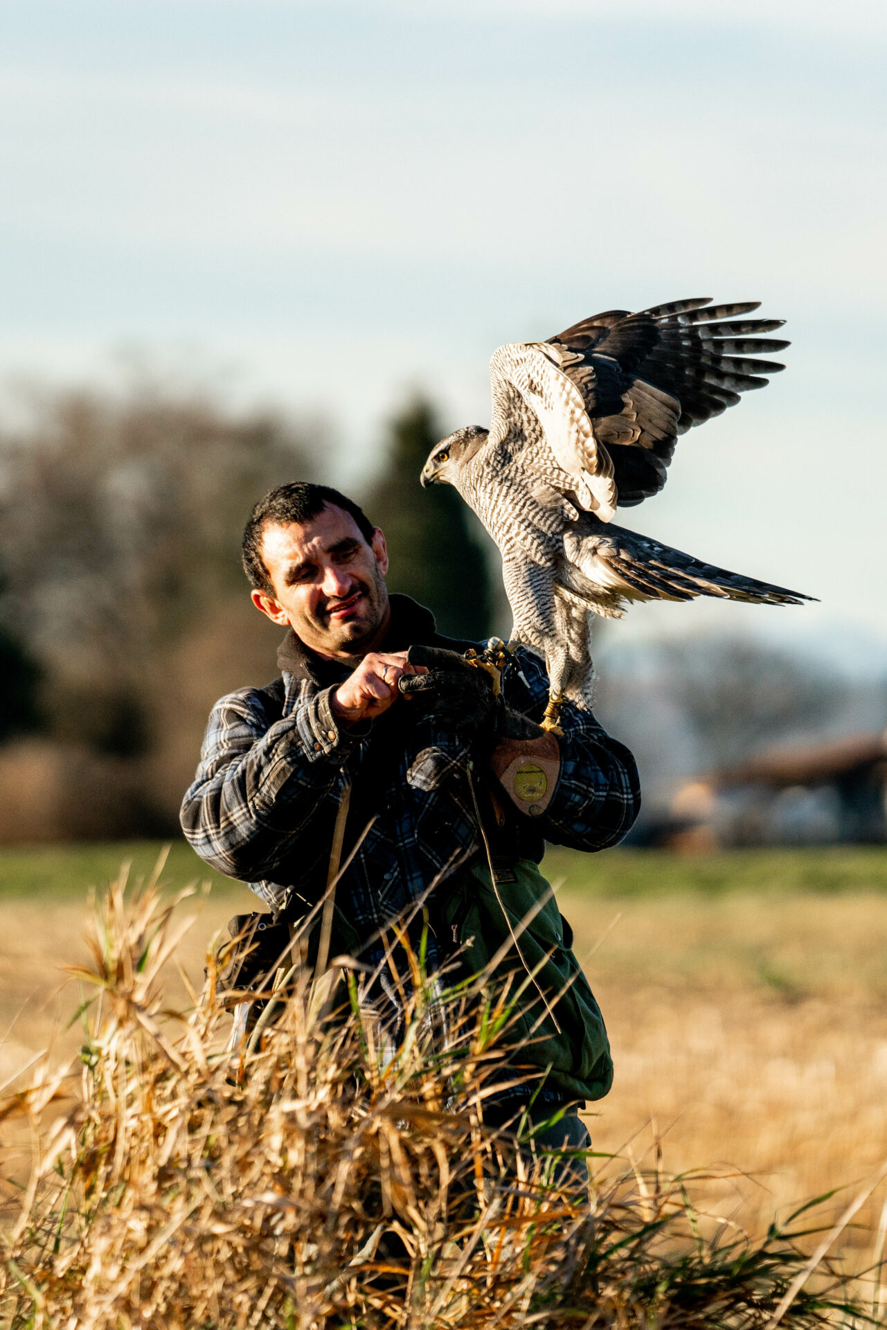 That's all falconry is – developing a hunting partnership with a bird of prey. Photo by Chase White.