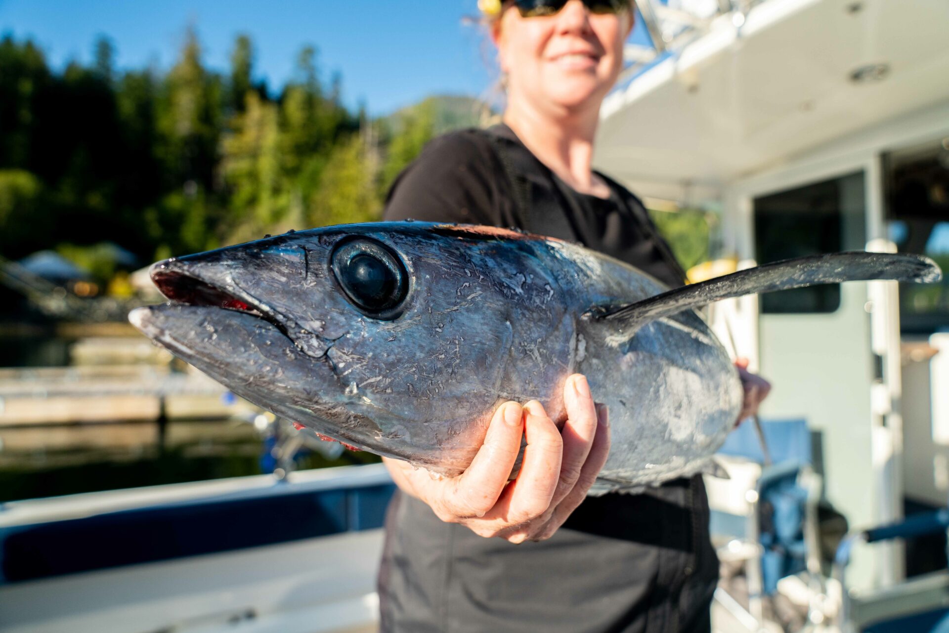 Albacore have large eyes with huge, teaspoon-sized pupils, enabling them to see for hundreds of feet. Photo by Chase White.