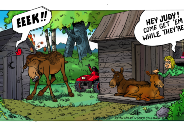 Illustration by Keith Milne and Gord Coulthart.