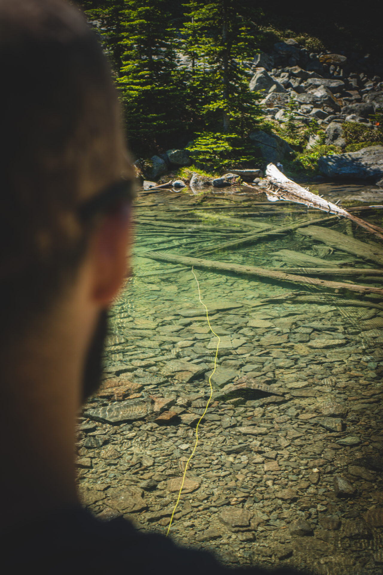 Catch & Cook: An Alpine Adventure.