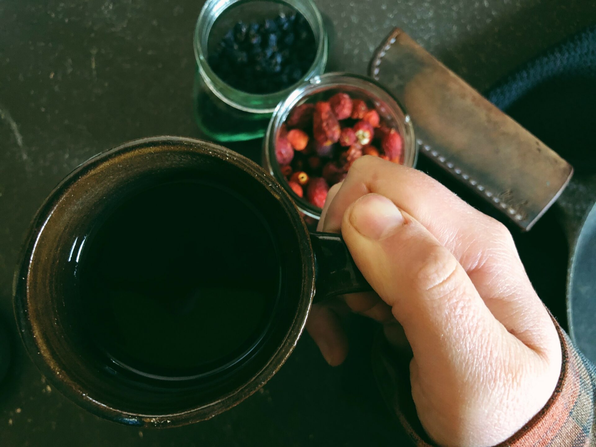 Foraged Tea On A Foggy Fall Morning. Credit: Raeanne O’Meara.