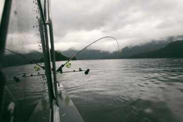 Credit: Raeanne O’Meara.