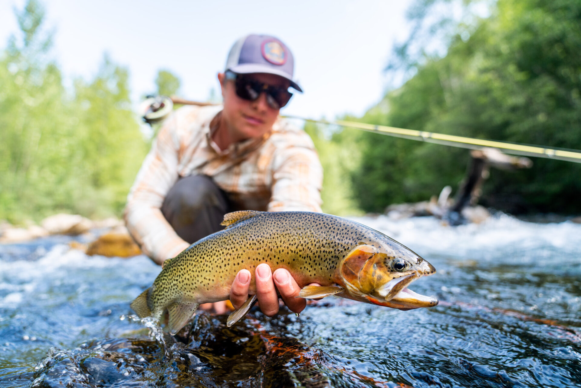 The classic golden brown colour and the red slash under the jaw make cutthroat trout easy to identify. Photo by Chase White.