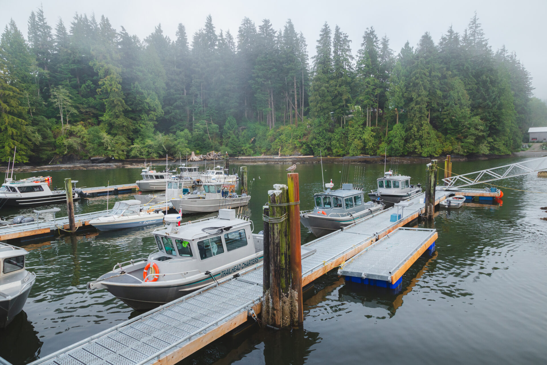 Boats in the Port Renfrew Marina, ready and waiting for their next adventure. Photo by iStock.