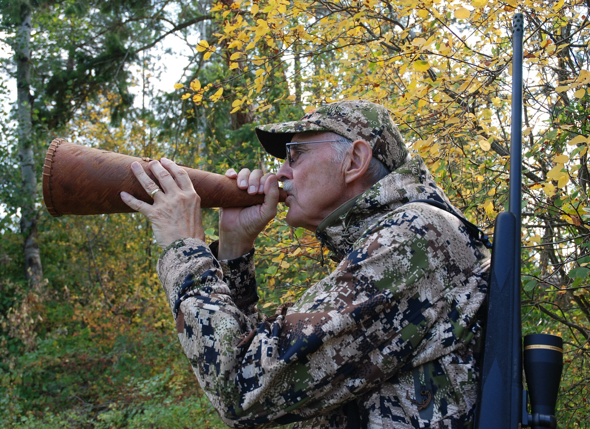 A birch bark moose call adds distance and a resonate tone to a moose calling.