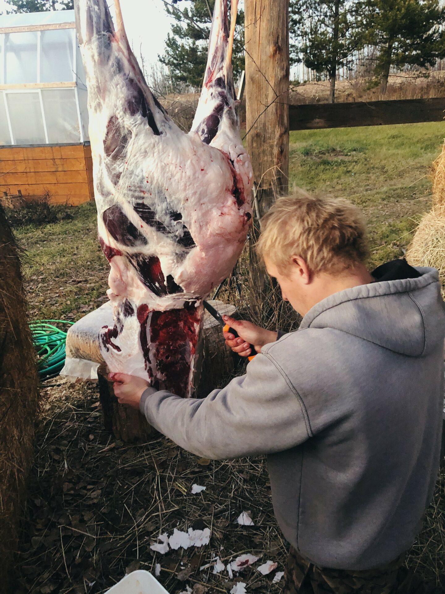 Butchering. Credit: Raeanne O’Meara.