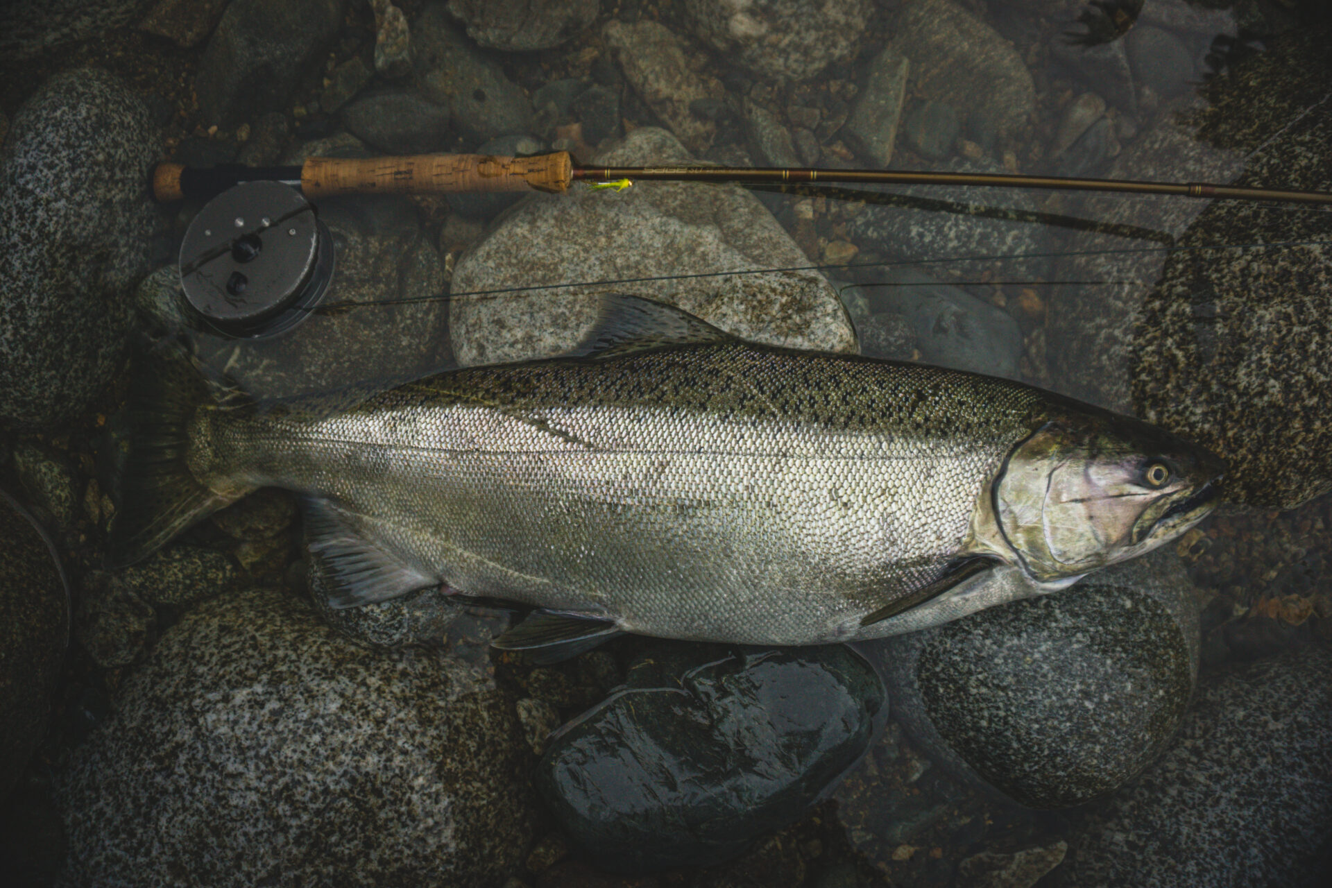 From river to cutting board to cast iron skillet to plate – it doesn’t get any fresher or better than that. Photo by Lindsay Derer.