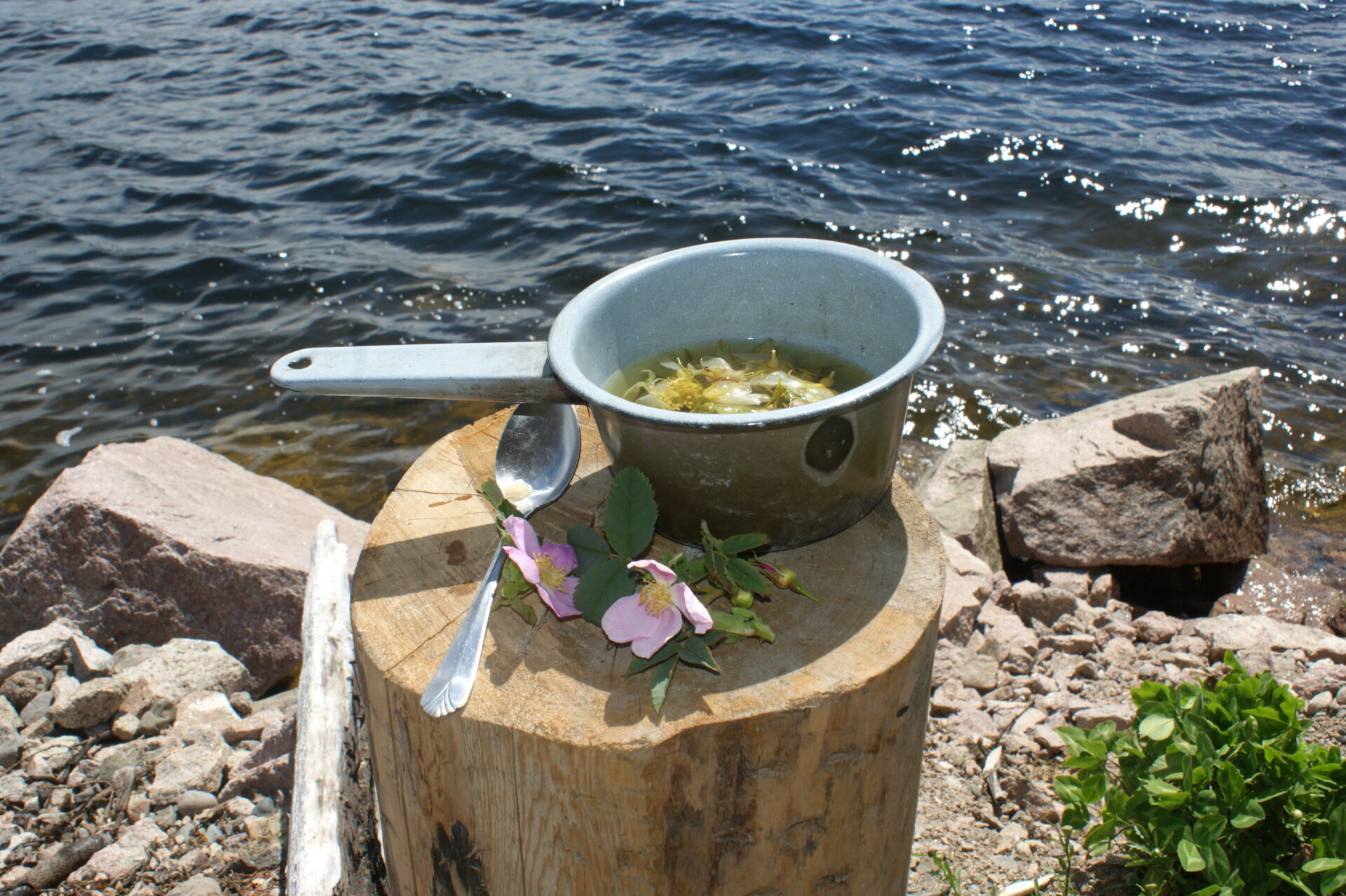 Tea time at the lake. When you take a break from fishing, enjoy a cup of rose tea.