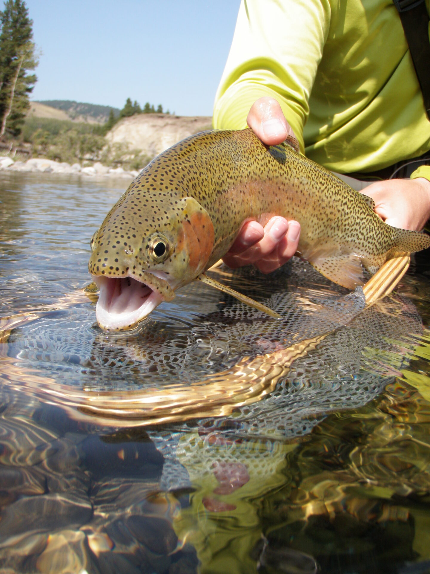 Be prepared to switch to nymphs, streamers and wet flies if dry flies don't work.