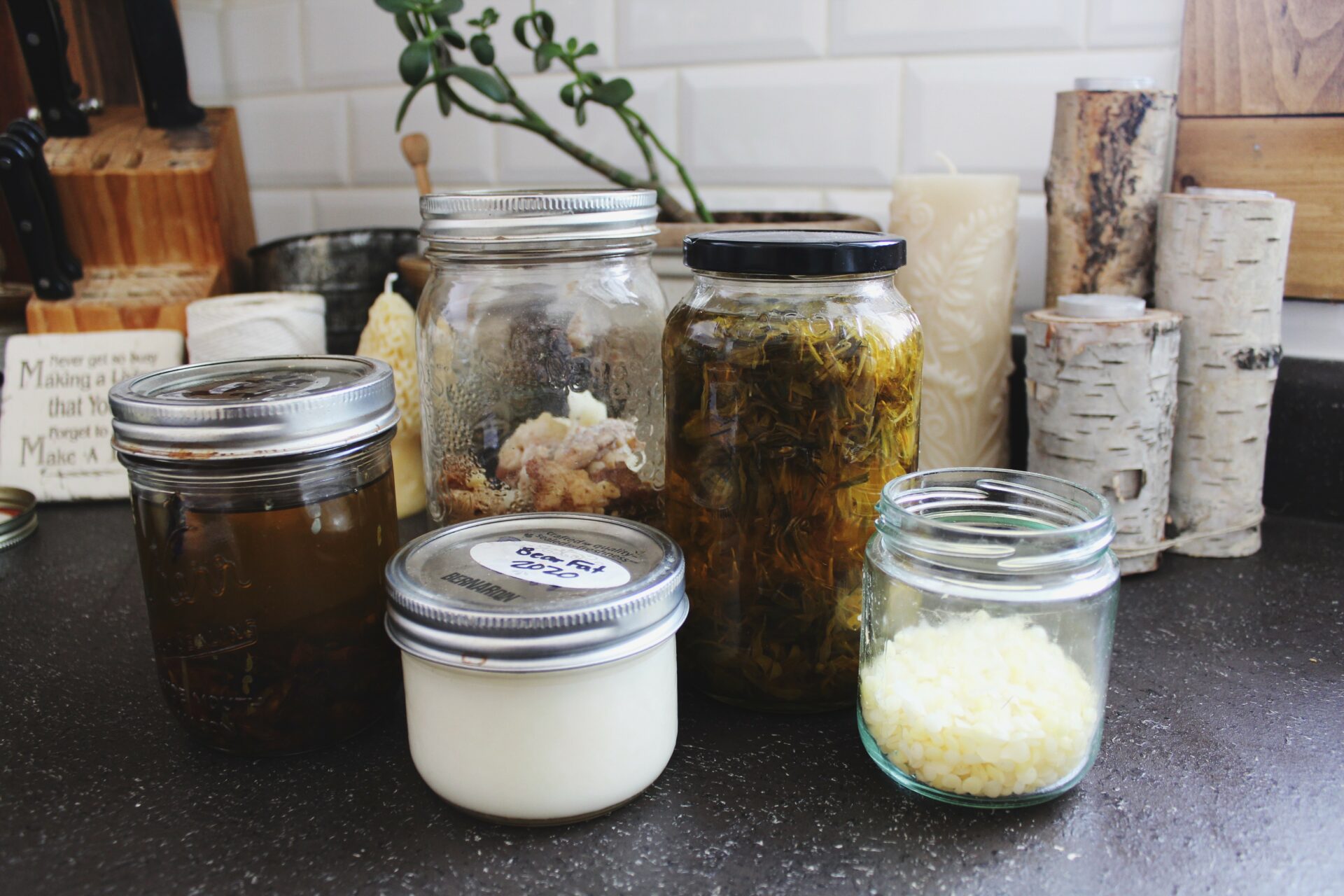 DIY Wild Healing Salve. Credit: Raeanne O’Meara.