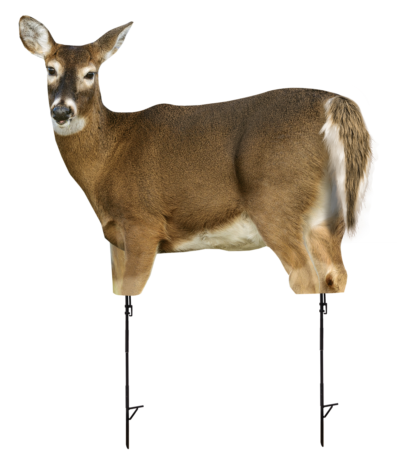 Montana Decoy Whitetail Doe Decoy