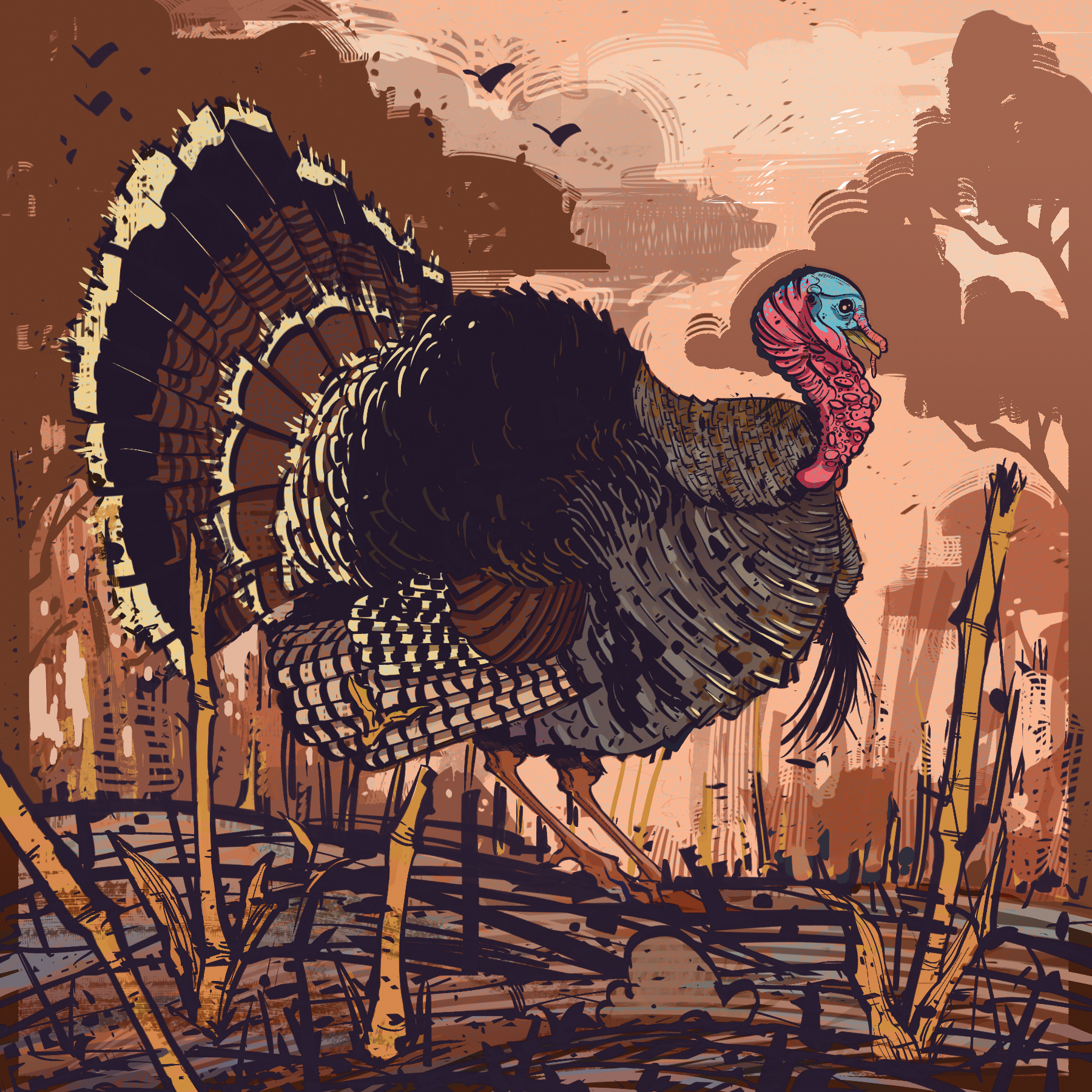 Turkey. Illustration by Cory Proulx.