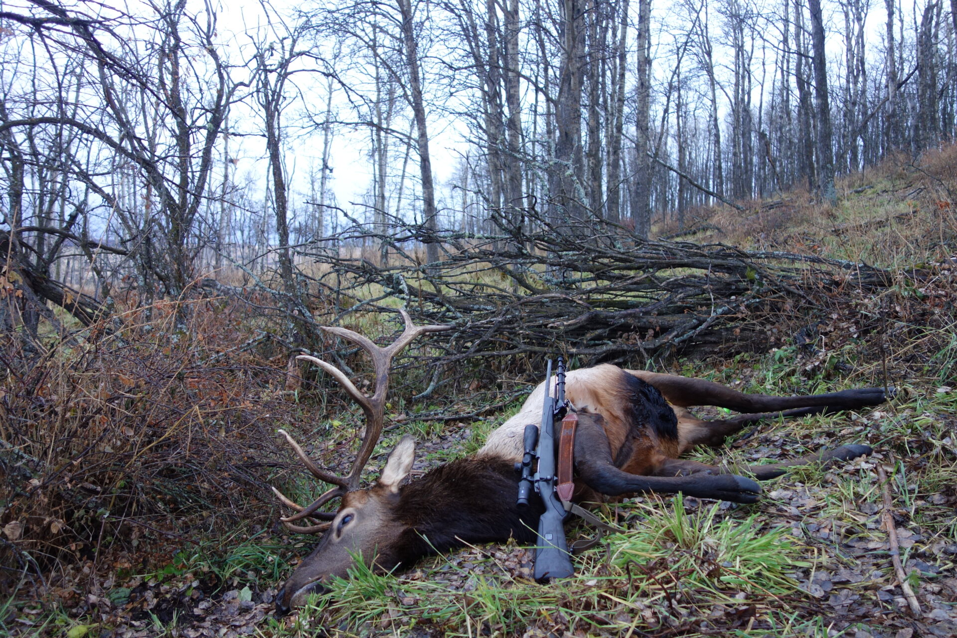 Cup-and-core bullets are ideal for long-range hunting.