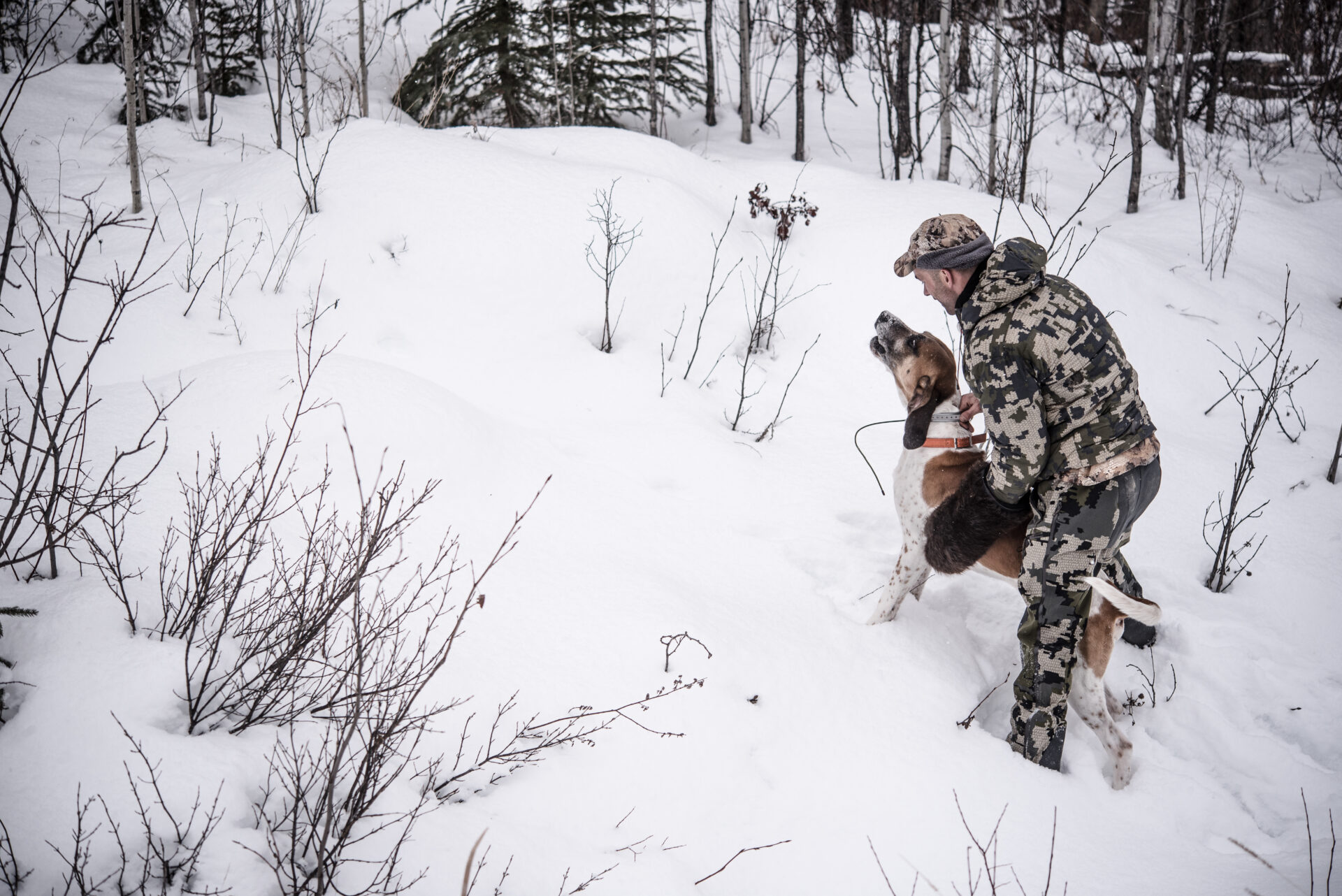 Hunters (both resident and non-resident) took an average of 225 cougars annually from 2016 to 2020. Photo by Nick Trehearne.